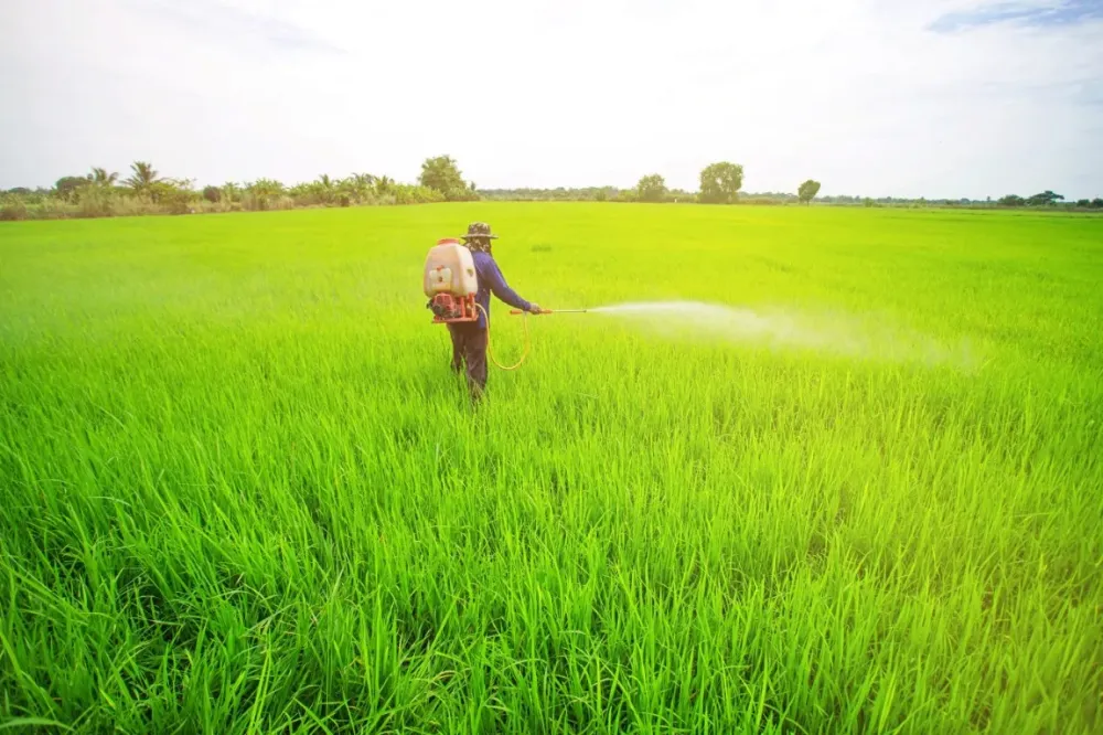 Apport insecticide à Verrières